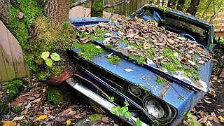 LUX Autofriedhof Gürbetal 0653.jpg